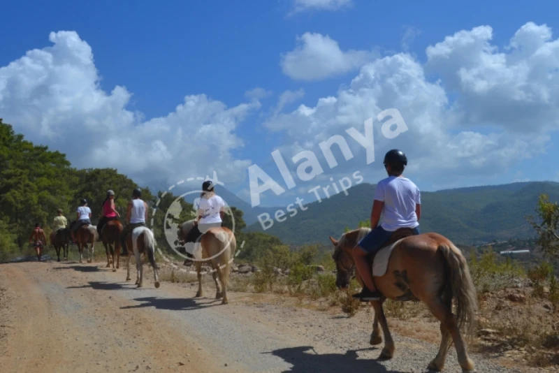 Alanya Horse Riding Tour - Horse Riding Training - 5
