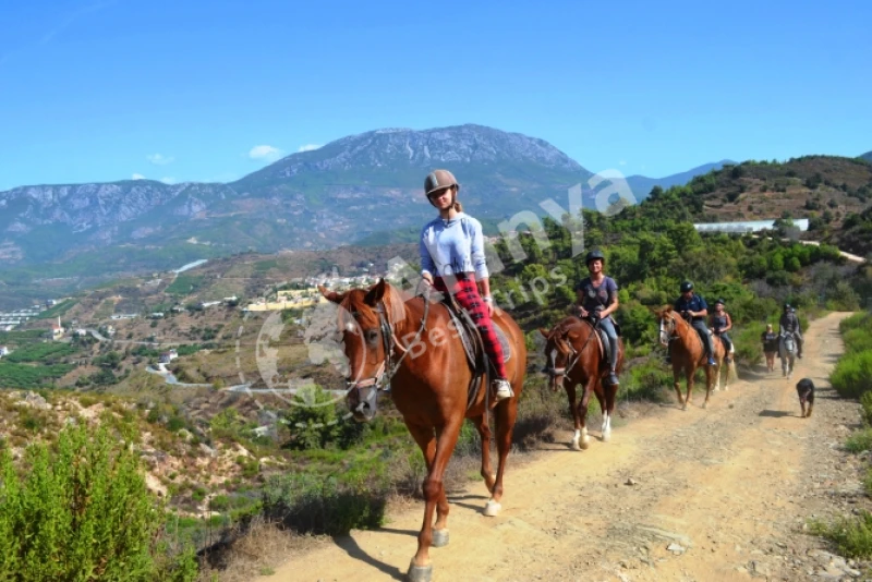 Alanya Horse Riding Tour - Horse Riding Training - 3