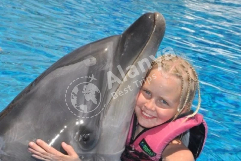 Alanya Dolphin Show & Swimming Tour - 7
