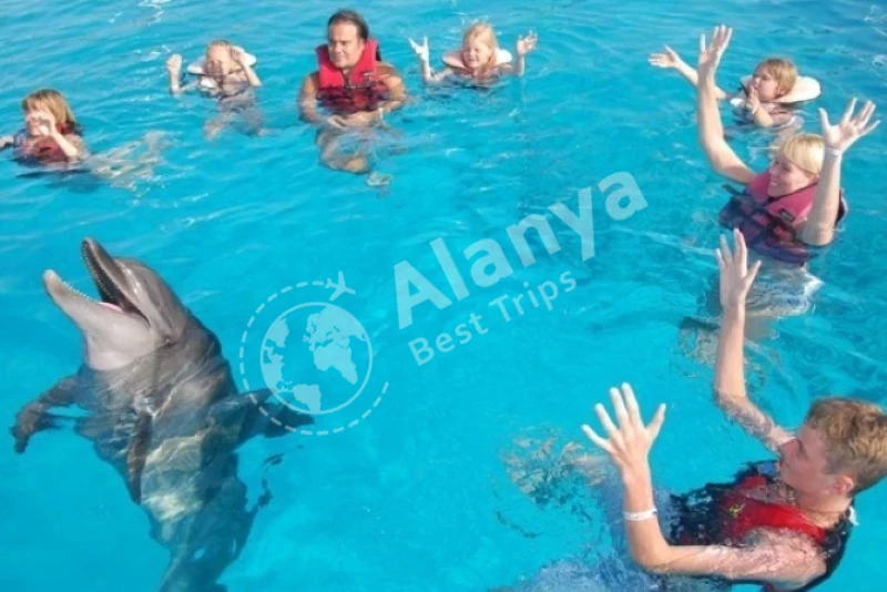 Шоу дельфинов и тур по плаванию в Алании - 5