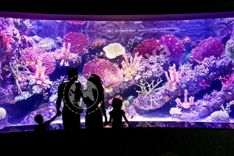 Antalya Aquarium admission with City Tour and Duden Waterfall - 7