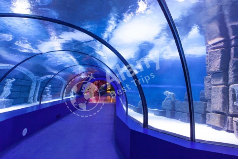 Antalya Aquarium admission with City Tour and Duden Waterfall - 8