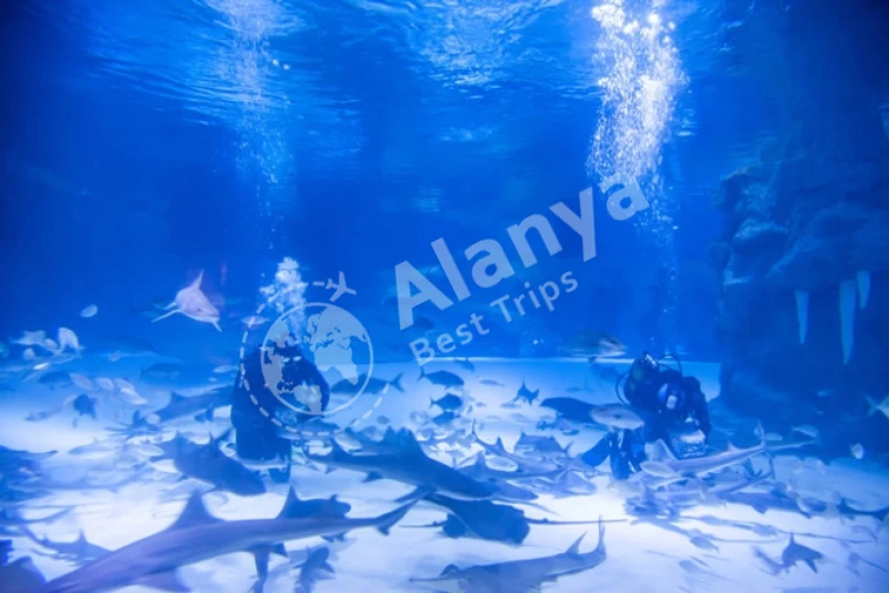 Экскурсия по аквариуму Анталии, городу Анталии и водопаду Дуден - 10