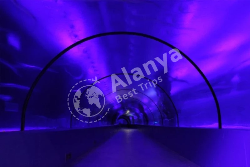 Antalya Aquarium Eintritt mit Stadtrundfahrt und Duden Wasserfall - 4