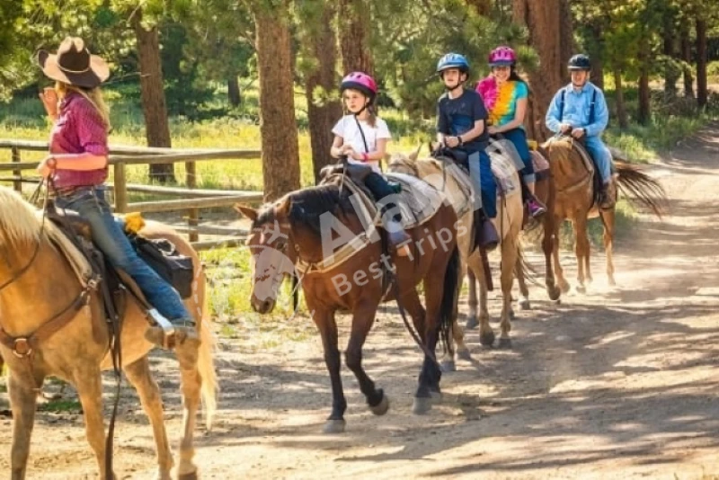 Тур по сафари на лошадях в Белеке: посмотрите на мир со спины лошади - 1
