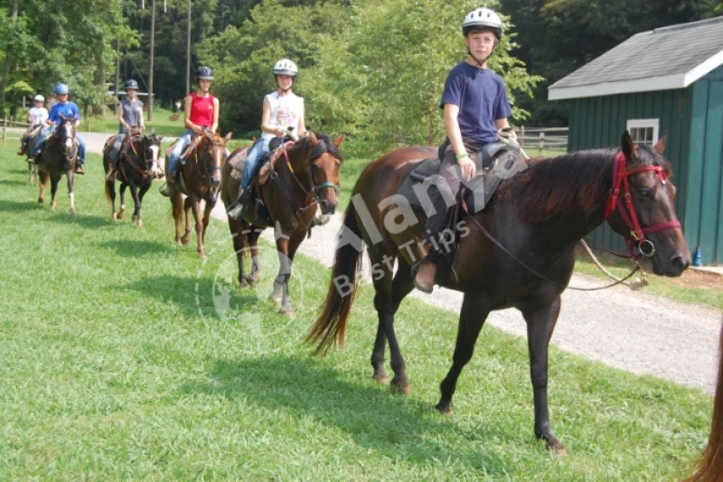 Тур по сафари на лошадях в Белеке: посмотрите на мир со спины лошади - 0