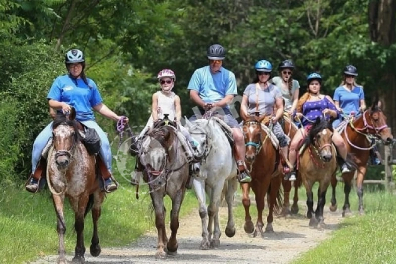 Тур по сафари на лошадях в Белеке: посмотрите на мир со спины лошади - 3