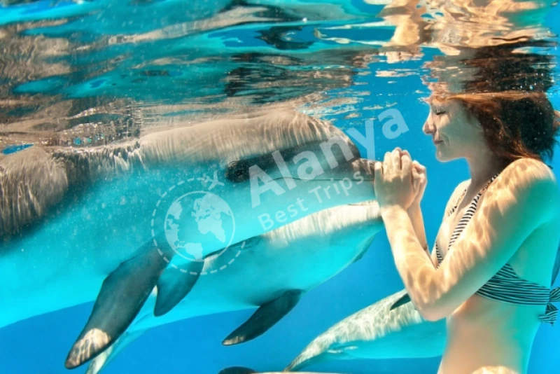 Увлекательное шоу дельфинов и плавательный тур в Анталье - 0