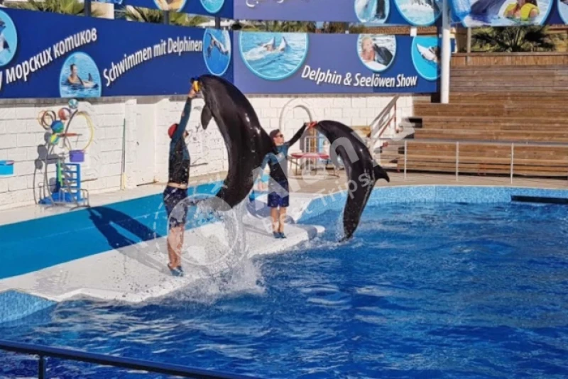 Ekscytujący pokaz delfinów i wycieczka pływacka w Antalyi - 6