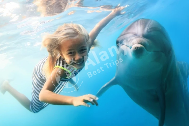 Увлекательное шоу дельфинов и плавательный тур в Анталье - 2