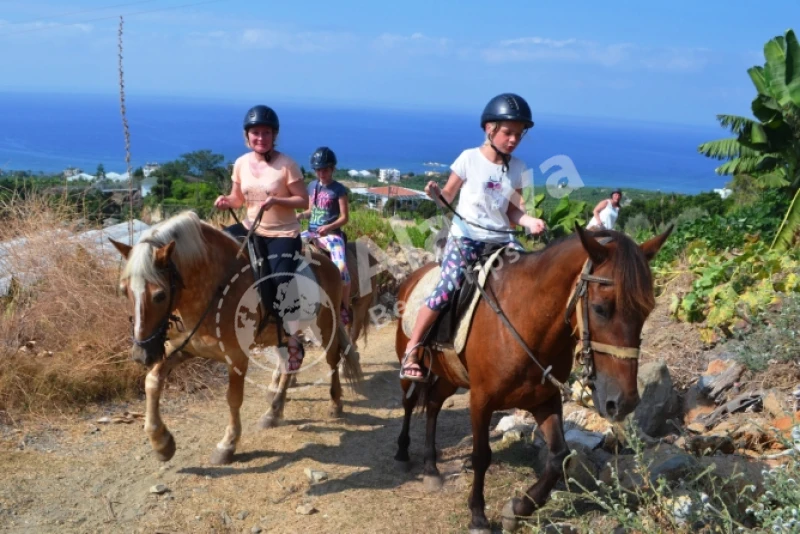 Mahmutlar Horse Riding Tour - 5