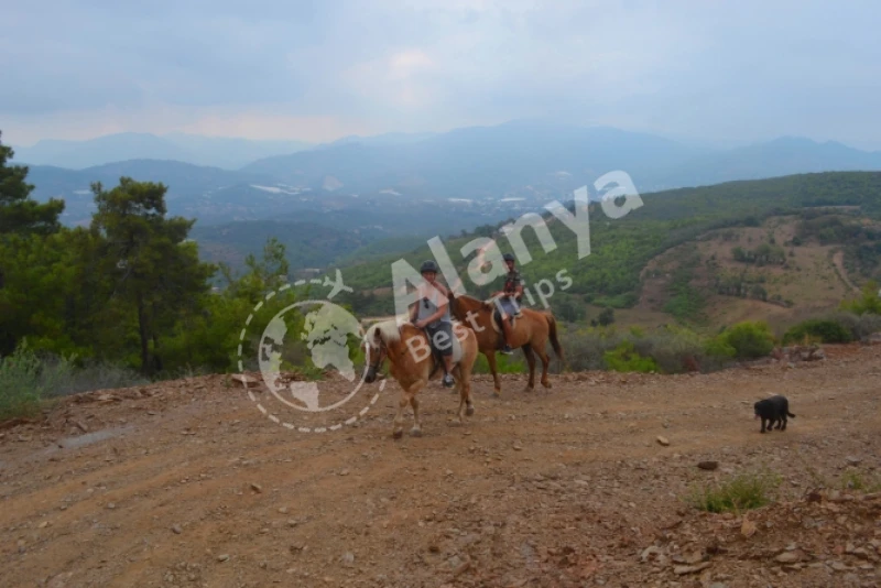 Mahmutlar Horse Riding Tour - 2