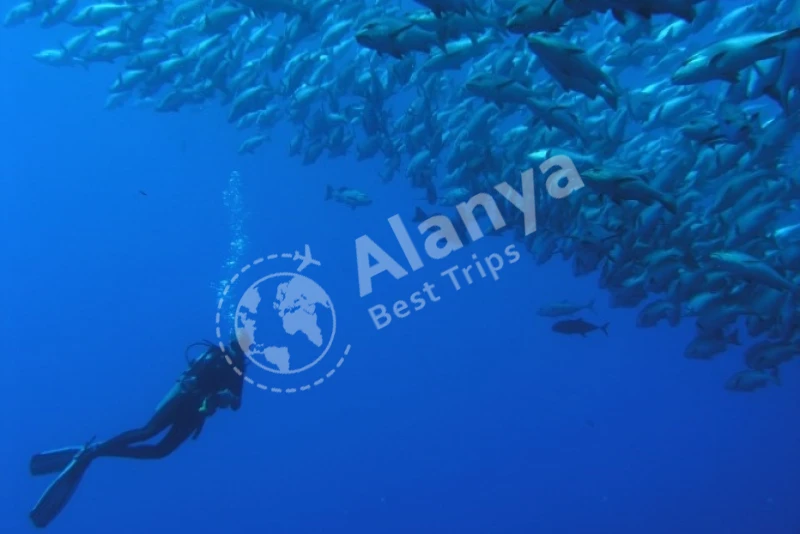 Scuba Diving Antalya - 2
