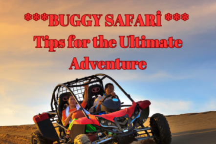 Tips For High-End Adventure With Buggy Safari