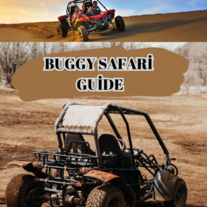 Buggy Safari Guide: All the Tips from Beginner to Master