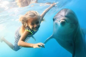 Exciting Dolphin Show and Swimming Tour in Antalya