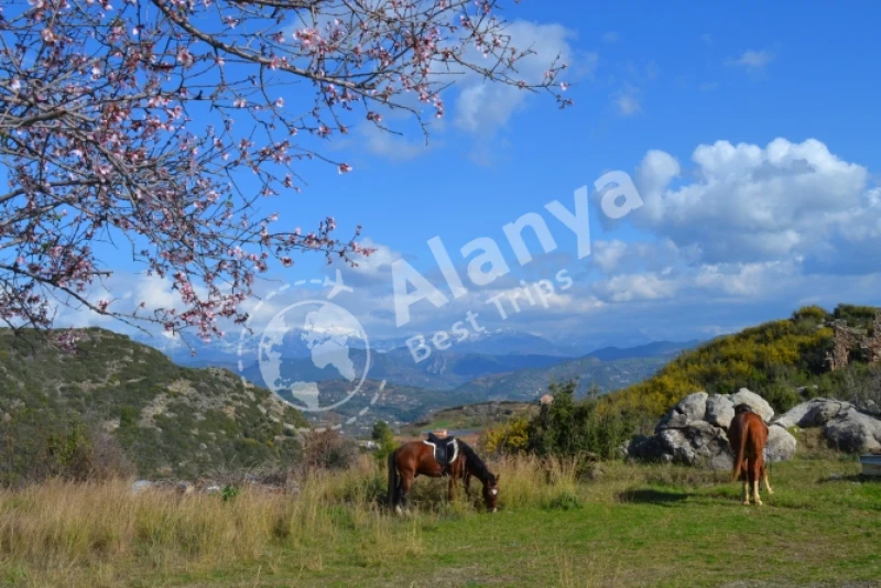 Horse Riding Tour Turkler,Alanya - 5
